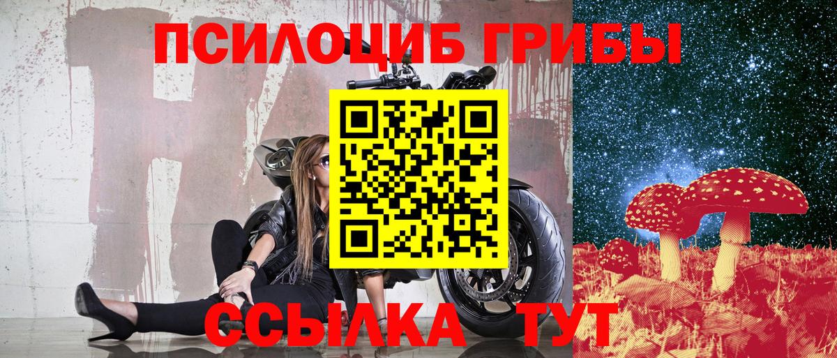 Псилоцибиновые грибы прущие грибы Ревда